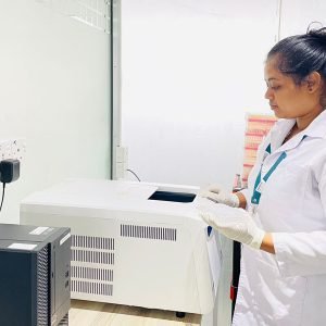A2